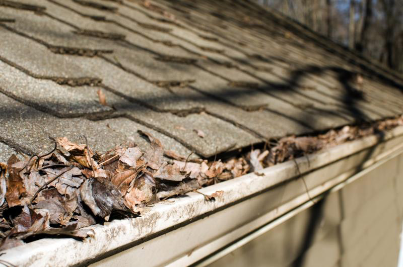 Why a home's gutter system upkeep is so important in the Lower Mainland