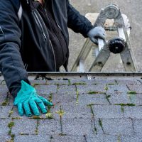 How Often Should You Clean Moss and Algae off a Roof?
